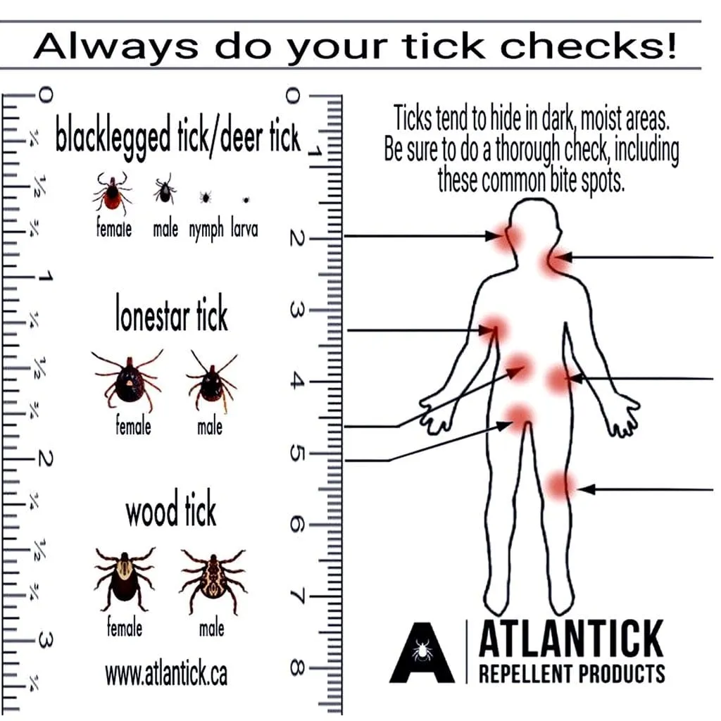 Atlantick Tick Kit - Tick Removal Tool Kit