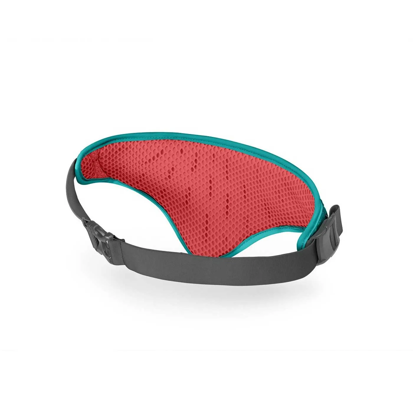 Dyna Solo Belt