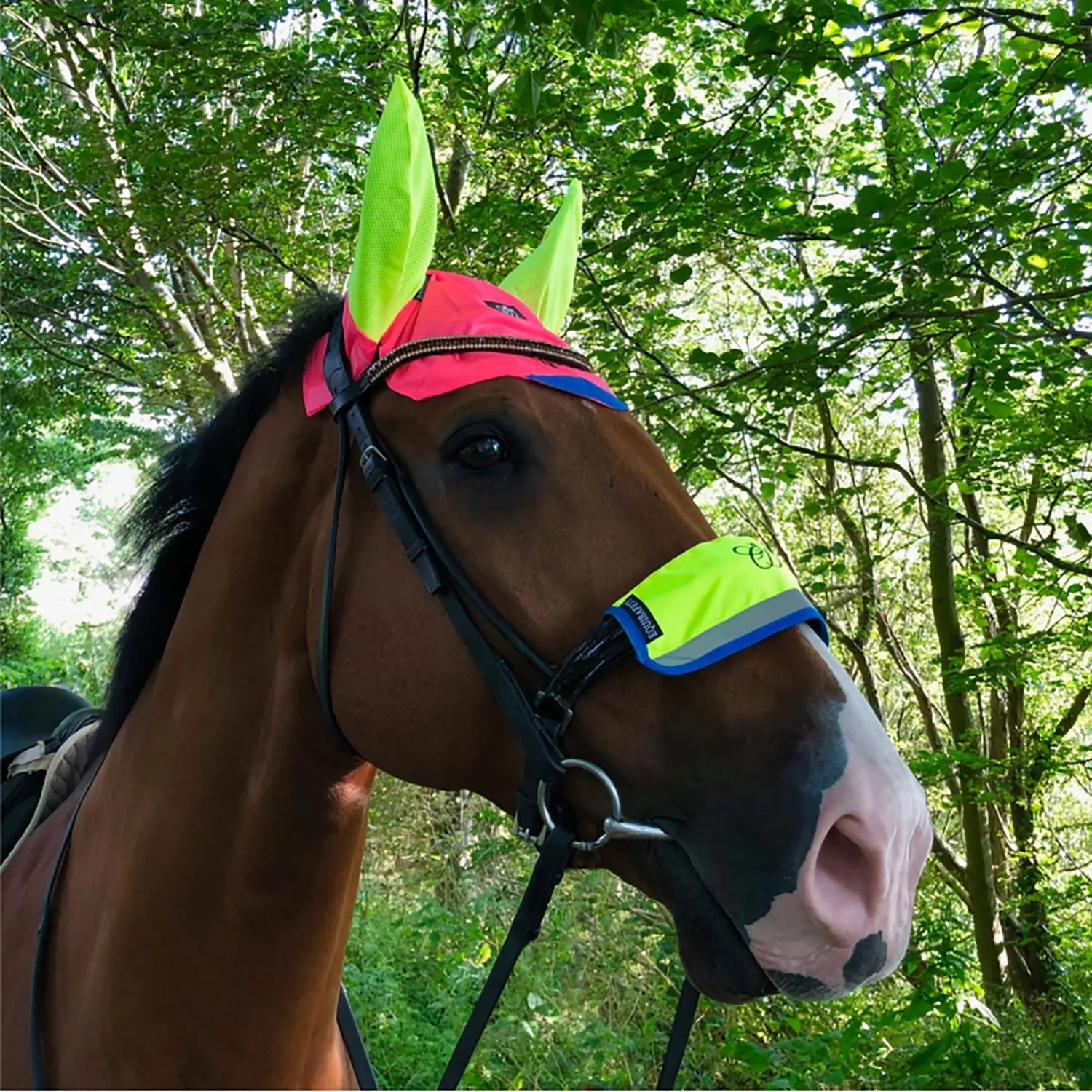 Equisafety Multi-Coloured Noseband