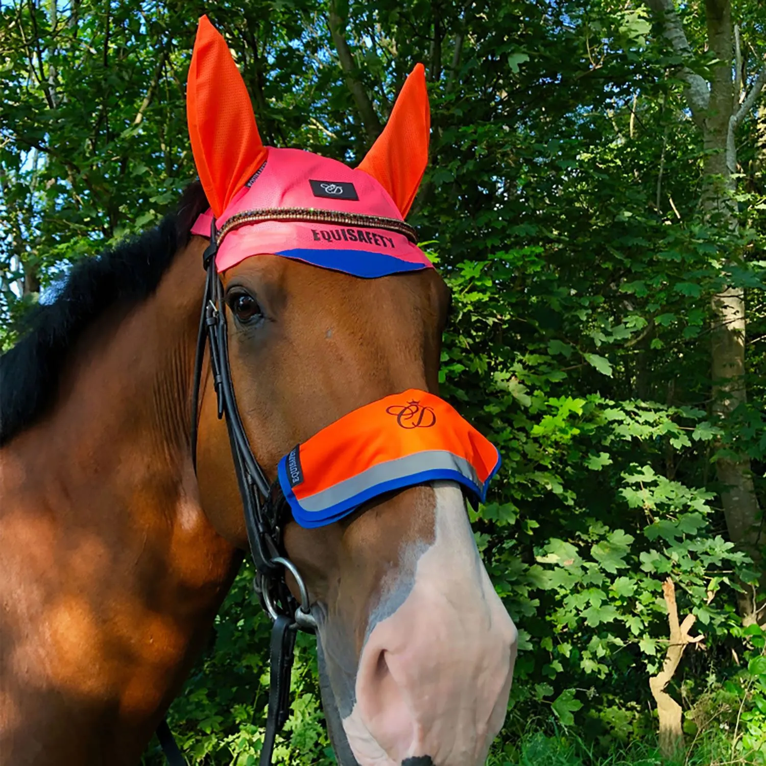 Equisafety Multi-Coloured Noseband