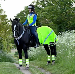 Equisafety Polite Breathable Mesh Quarter Sheet