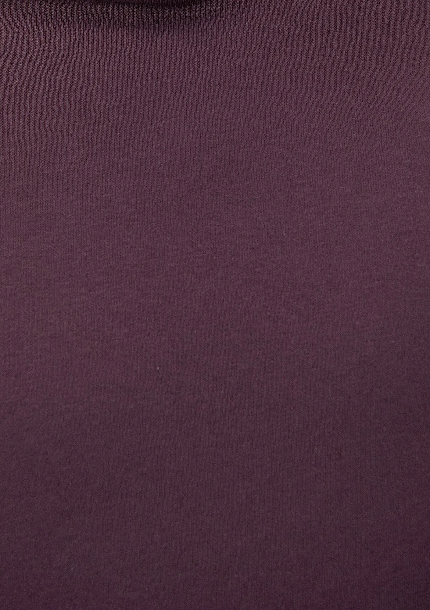 Hooded Burgundy Sweatshirt
