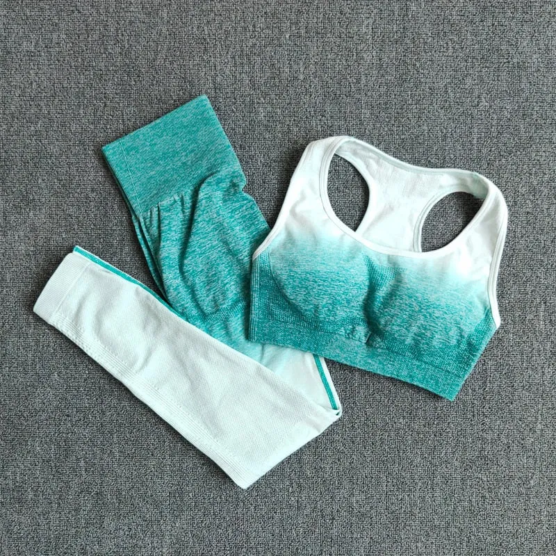 Ombre Yoga Suit Seamless Workout Fitness Sportswear Sports Bra and Leggings Yoga Set