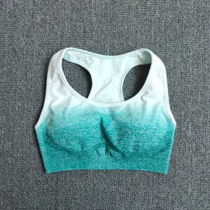 Ombre Yoga Suit Seamless Workout Fitness Sportswear Sports Bra and Leggings Yoga Set