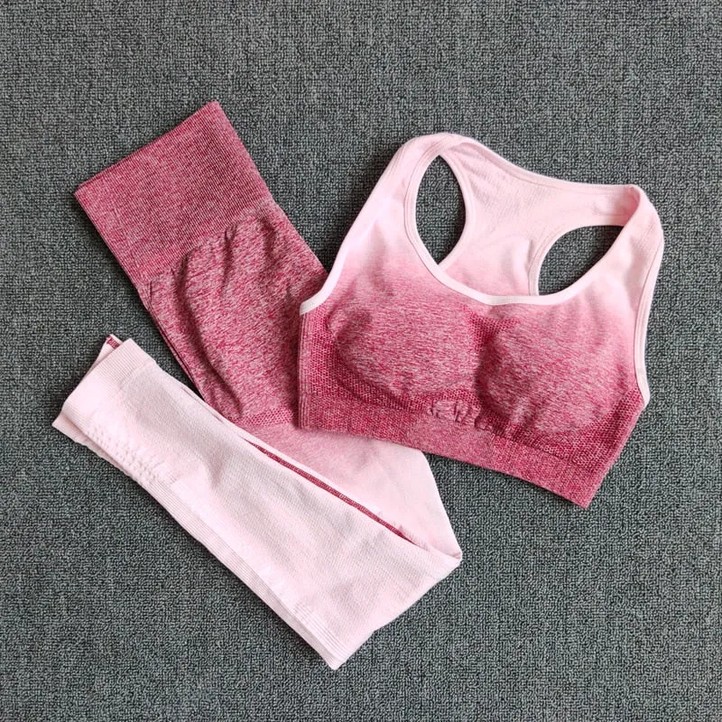 Ombre Yoga Suit Seamless Workout Fitness Sportswear Sports Bra and Leggings Yoga Set