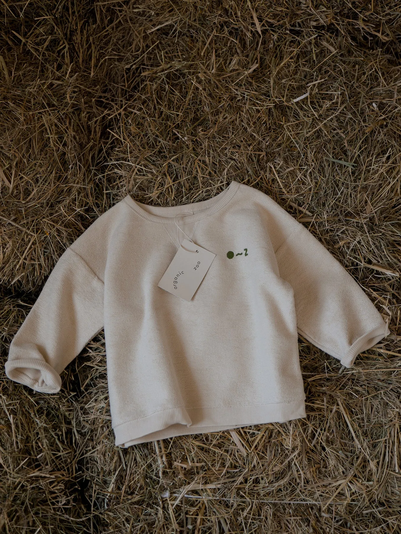 Original~Z Embroidered Logo Sweatshirt