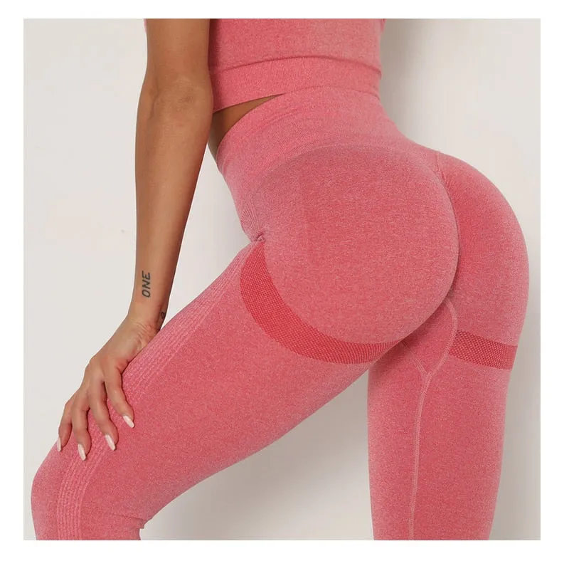 Yoga Clothing Set Sports Suit Women Sportswear