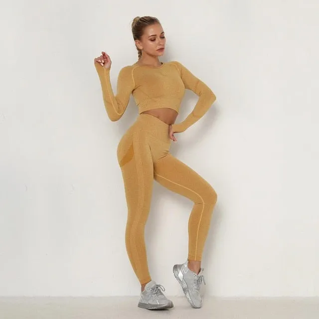 Yoga Clothing Set Sports Suit Women Sportswear