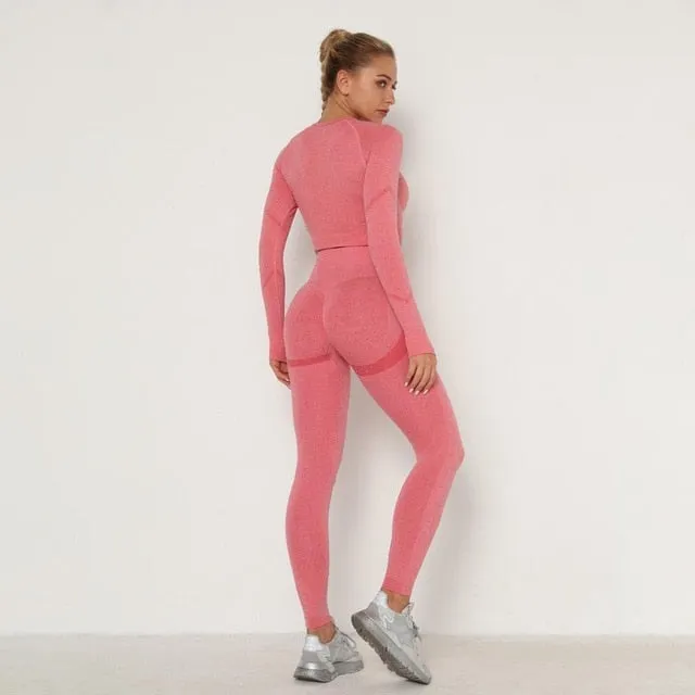 Yoga Clothing Set Sports Suit Women Sportswear