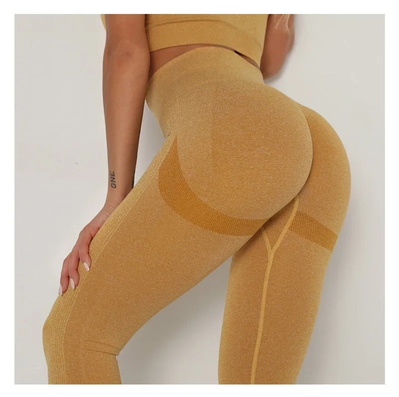 Yoga Clothing Set Sports Suit Women Sportswear