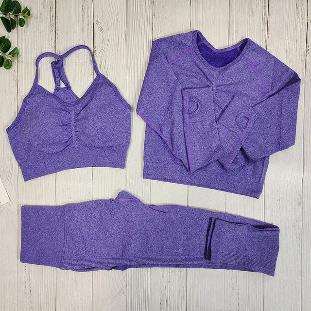 Yoga Clothing Set Sports Suit Women Sportswear